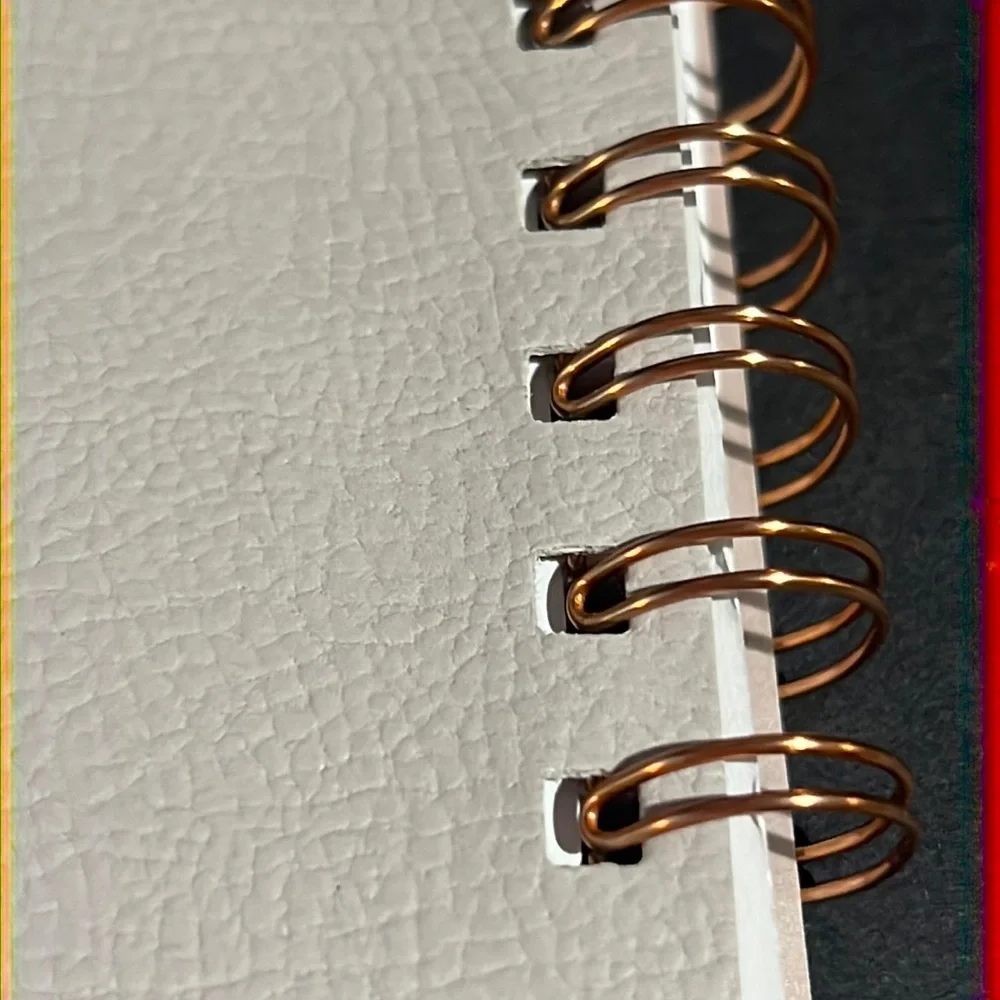 moon phase: rose gold on vegan leather NON-dated daily planner-spiral bound-NWT